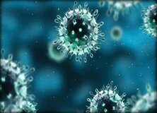 Инфекционная иммунология